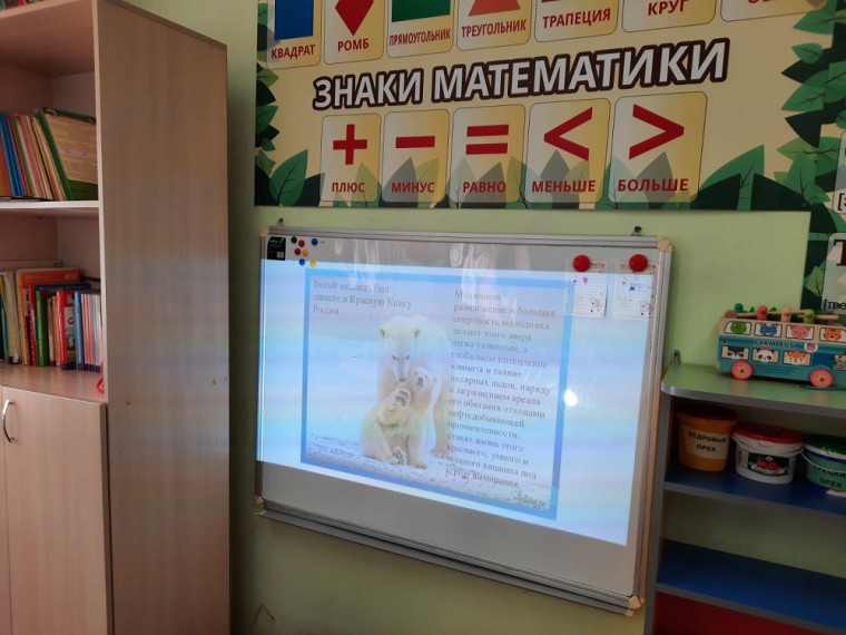 МЕЖДУНАРОДНЫЙ ДЕНЬ ПОЛЯРНОГО МЕДВЕДЯ.