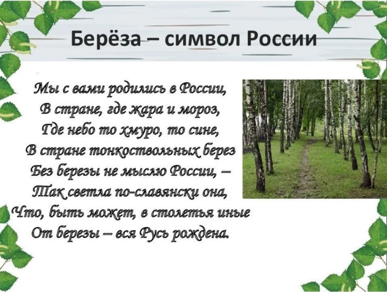 11 апреля- «День березы», один из символов России..