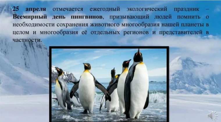 Всемирный день пингвинов.