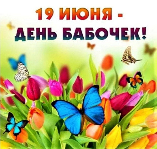 День бабочек.